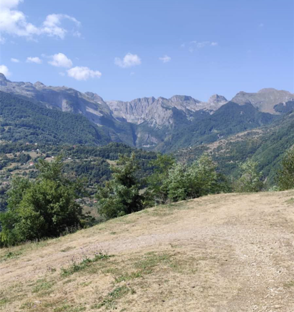 Gornja Morača
